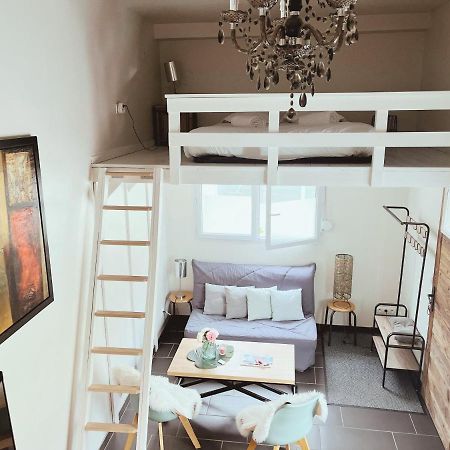 Loft Mandallaz - Au Coeur De La Ville Annecy Bagian luar foto