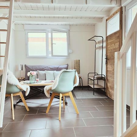 Loft Mandallaz - Au Coeur De La Ville Annecy Bagian luar foto